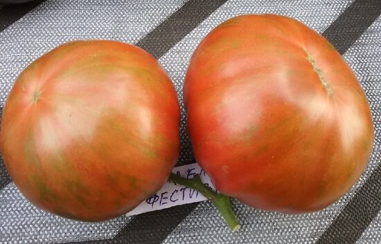 Гном Аделаида Фестиваль